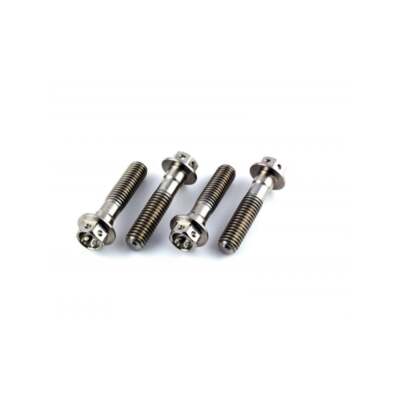 Aprilia Pegaso Strada 650 05-09 Stainless Race Drilled Front Axle Pinch Bolt Kit