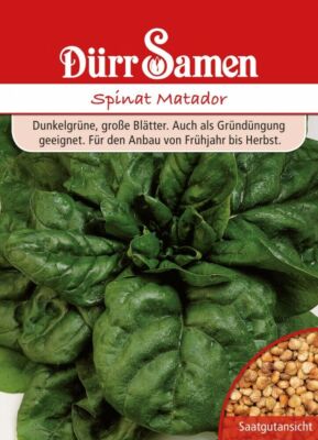 Ölrettich Samen 500g - Gründüngung Für Gesunden Gartenboden
