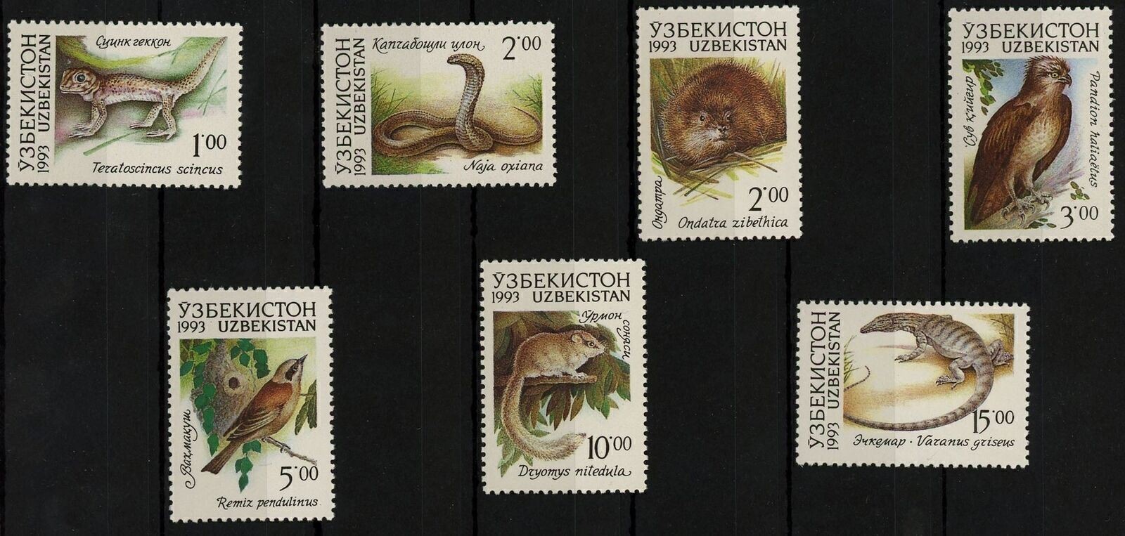 Uzbekistan Wild Animal Bird Snake Reptile Serie Set of 7 Stamps Mint NH ...
