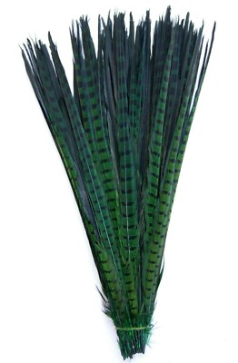 2 Pcs DYED KELLY GREEN English Ringneck PHEASANT Feathers 20-26'' Costume/Hats