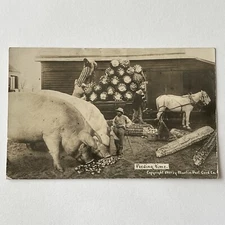 Antique RPPC Real Exaggerated Photograph Postcard Giant Pig Hog Corn Farm Odd