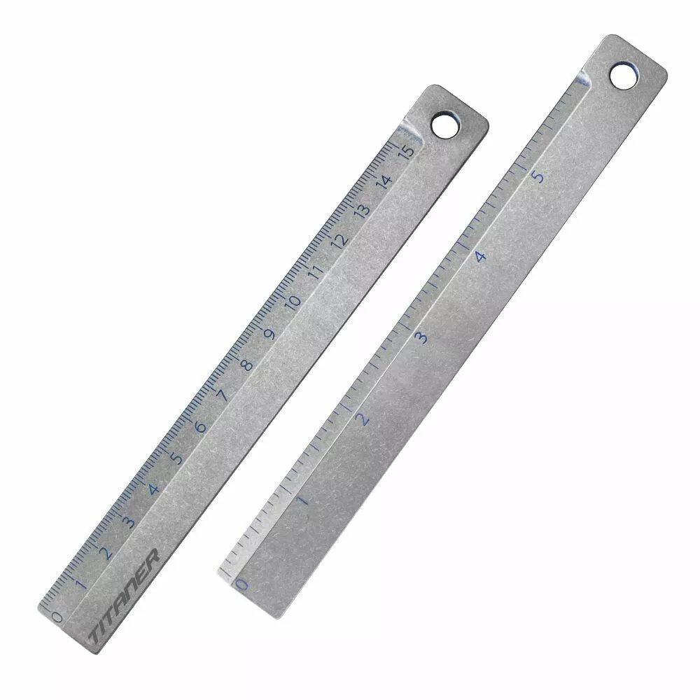 6 inch metric ruler online