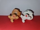 Bild 6 von 6