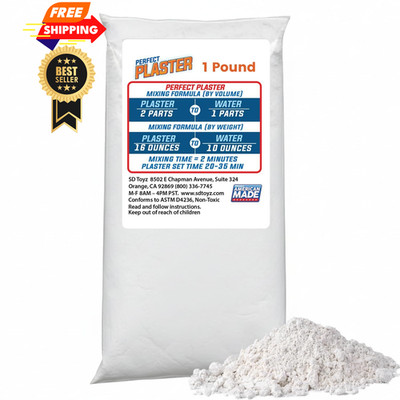 Perfect Plaster for Pottery & Ceramic Slip Casting Molds, 1Lb, White 
