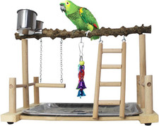 Bird Playground,Parrots Play Gym,Parakeet Play Stand with Prickly Ash Wood Perch
