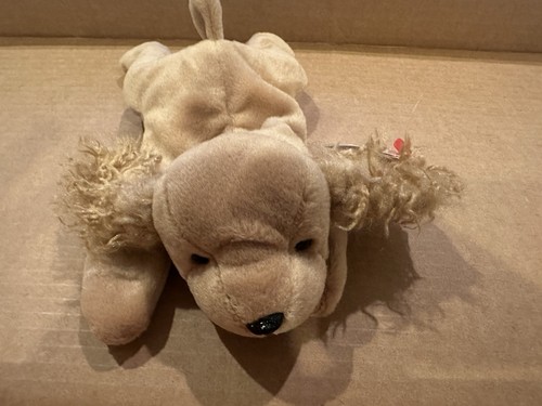 TY Beanie Buddies Spunky 2001 Cocker Spaniel Hund ~ NEU mit Etikett 