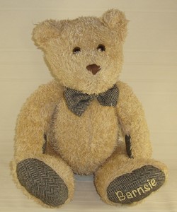 Barnes & Noble Plush BARNSIE Teddy Bear 15