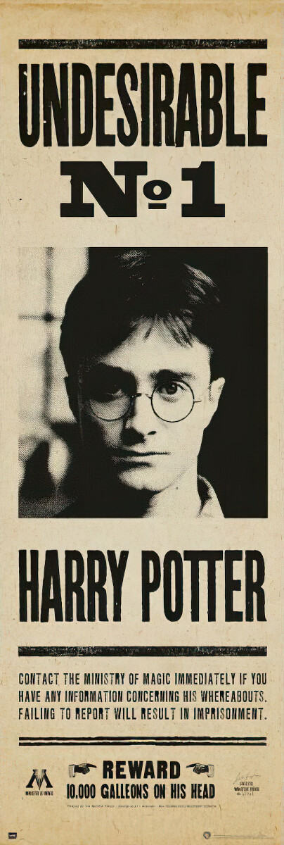 Harry Potter - Door Movie Poster / Print (Undesirable No. 1) | eBay