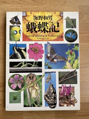 Gachoki (Photo Symbol series): Days of Moths & Butterflies Gachoki (Photo Symbol series): Days of Moths & Butterflies
