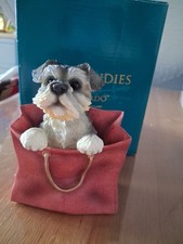 Dog Studies By Leonardo Playtime Shih Tzu In Bag LP16096 BNIB