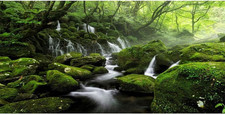 20X10Ft Forest Waterfall Backdrop Graceful Natural Scenery Photography Backgroun