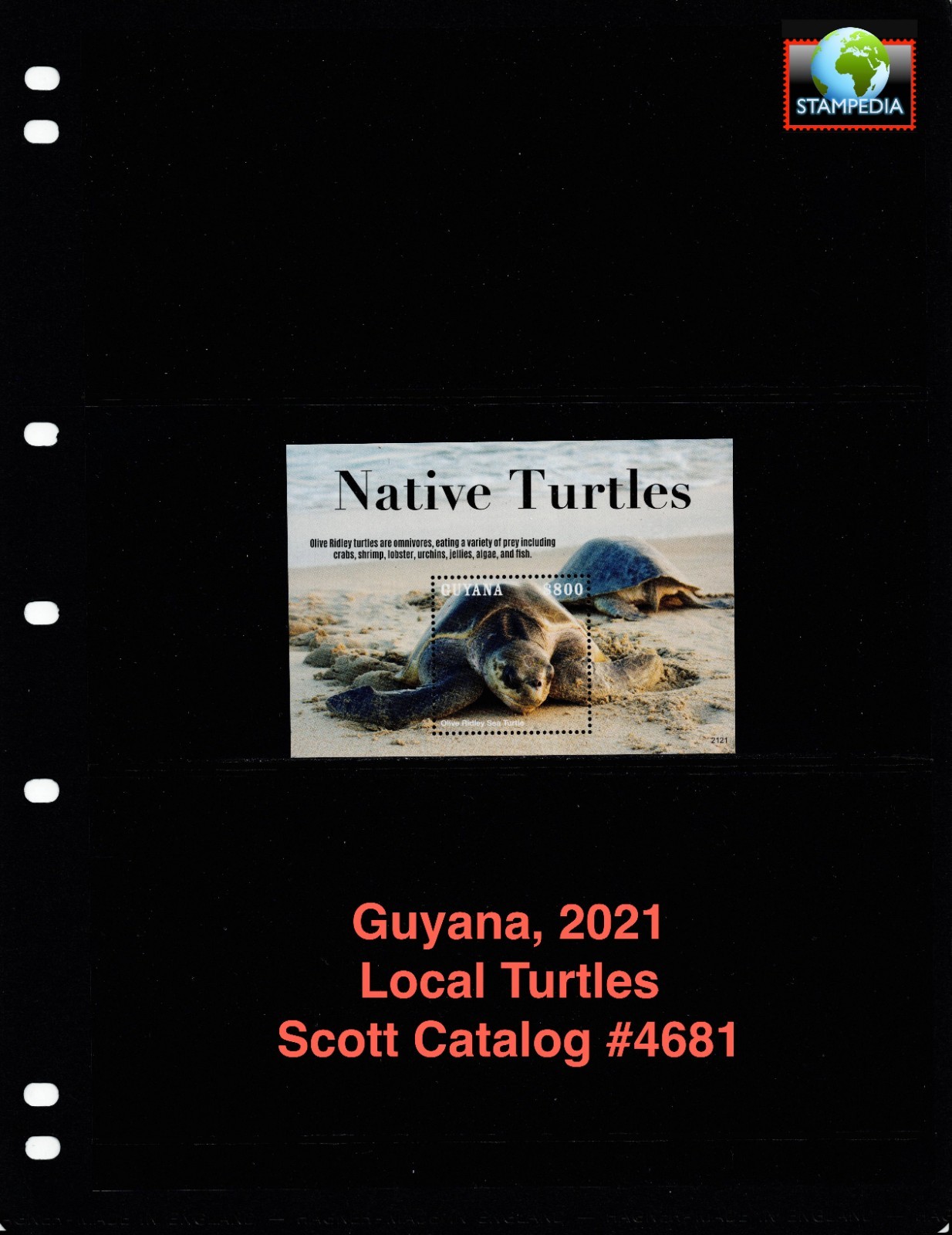 $7.75 Scott Value - 2021 GUYANA Turtles s/s Caribbean Sea CV MNH NH UMM
