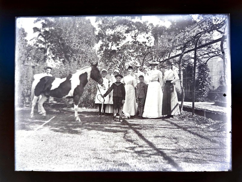 1890s antique GLASS NEGATIVE New Zealand FAMILY HORSE children women coloniaL