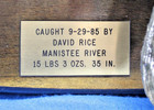 VTG Monster 35 Inch Manistee River Trout/Salmon Taxidermy Wall Hang — photo 9