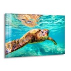 Sea Turtle Swimming Glass Wall Art