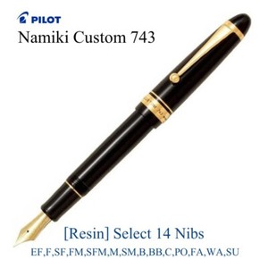 Pilot Custom 743 FA Nib | eBay