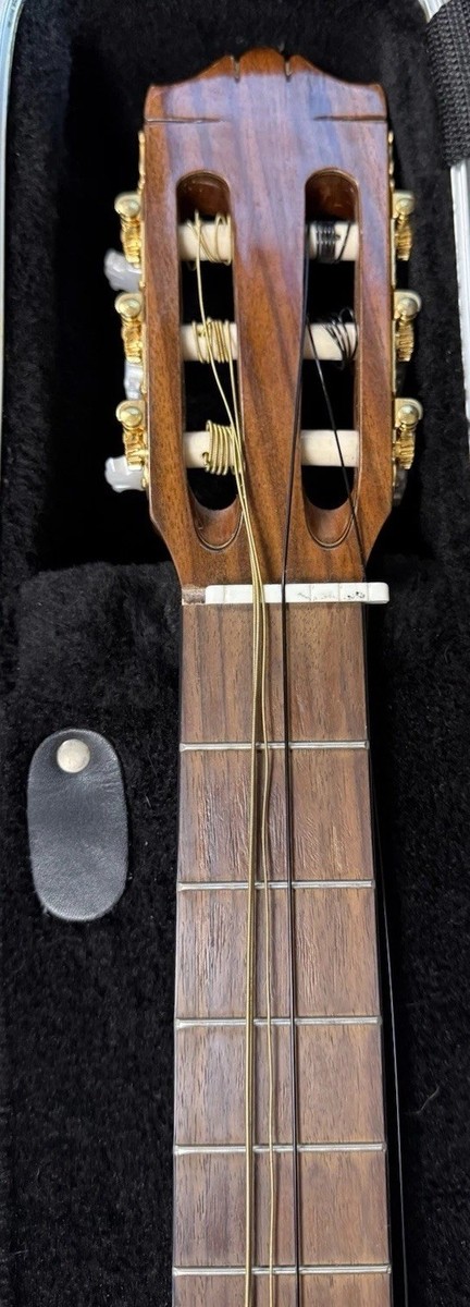 Yamaha CGX171CCA Acoustic Guitar With Gig Case From Japan