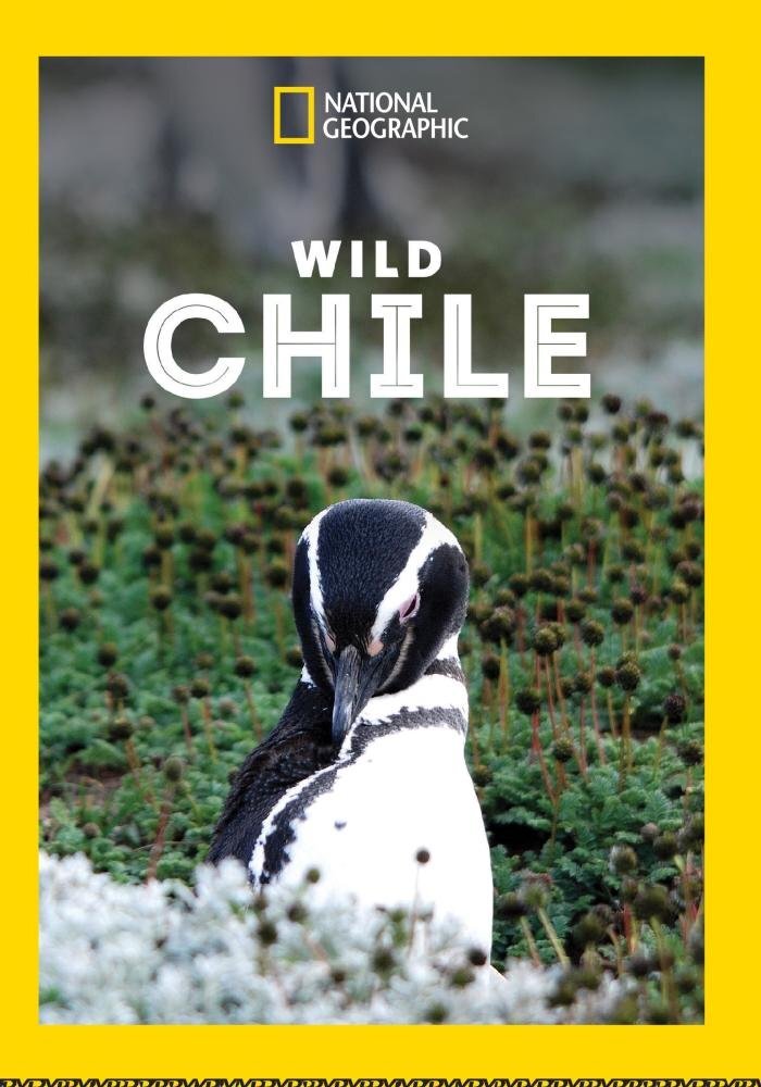 Wild Chile (DVD)