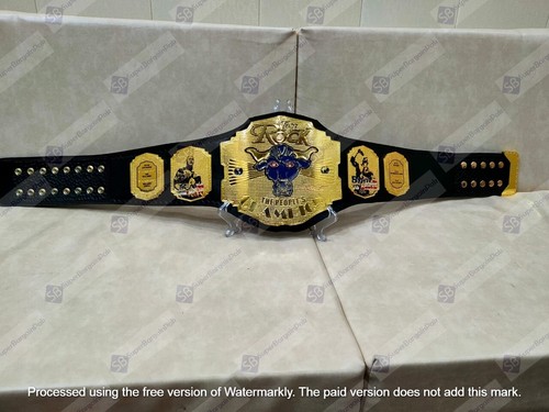 THE ROCK BRAHMA BULL WRESTLING CHAMPIONSHIP BELT 4mm Zinc - Picture 2 of 6