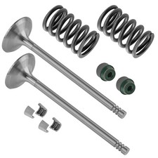 2x Exhaust Valve Kit for Can-Am CanAm Outlander 800 2007-2008 / 420254368