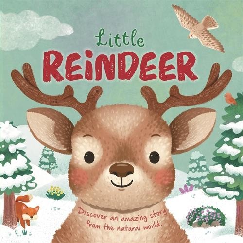 Little Reindeer - Image 4