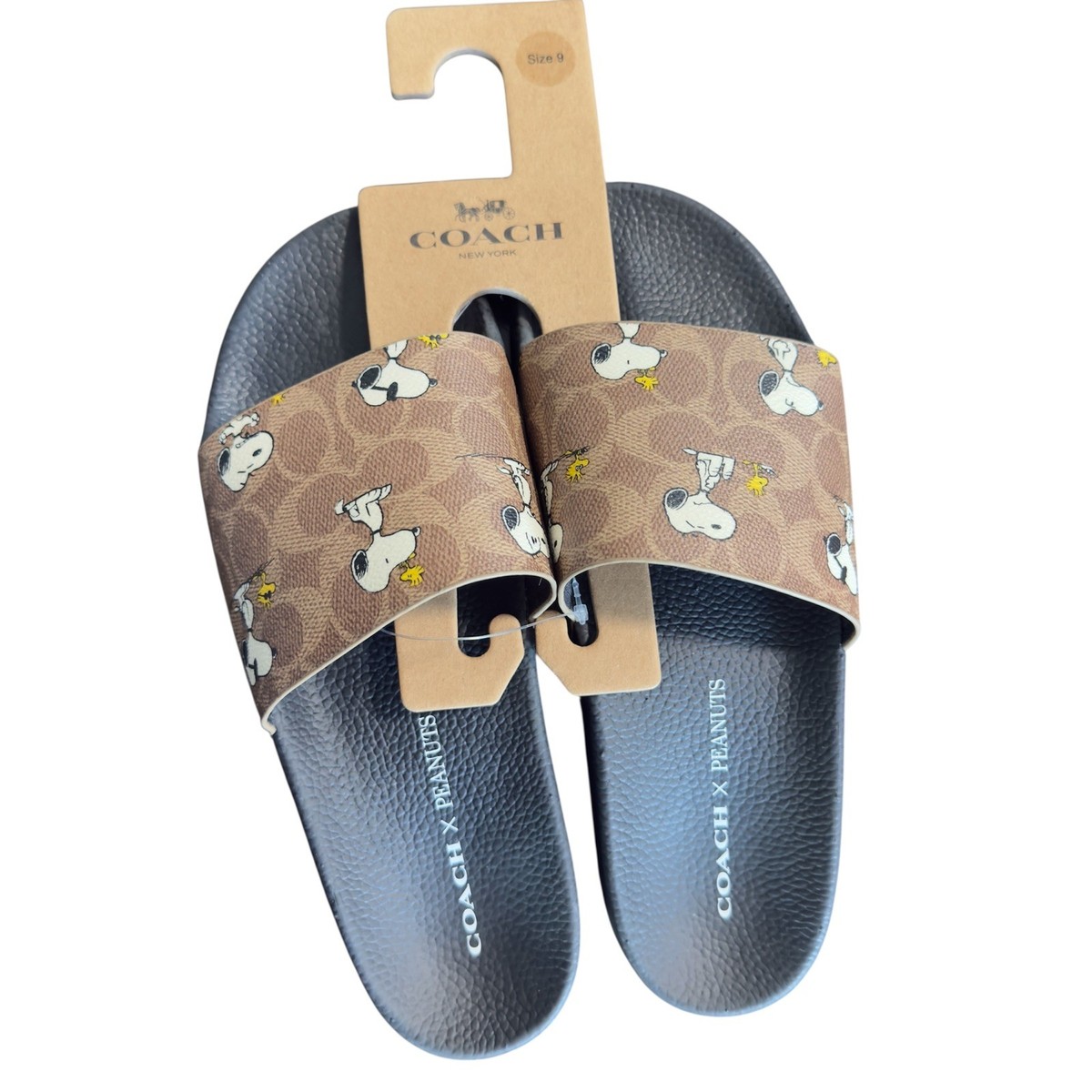 Coach x Peanuts Snoopy Men's Pool Slides Tan Size 9 | eBay