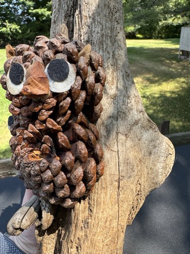 Handmade Rustic Driftwood Art Sculpture Wall Hanging w/Pine Cone Owls Decor - Picture 4 of 7