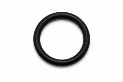 Rational 56.00.830P Drain Valve O-Ring PM Van Stock for Techs Tracked