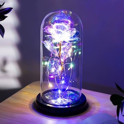Enchanted Forever Rose Flower In Dome Glass LED Night Light Anniversaries Gift