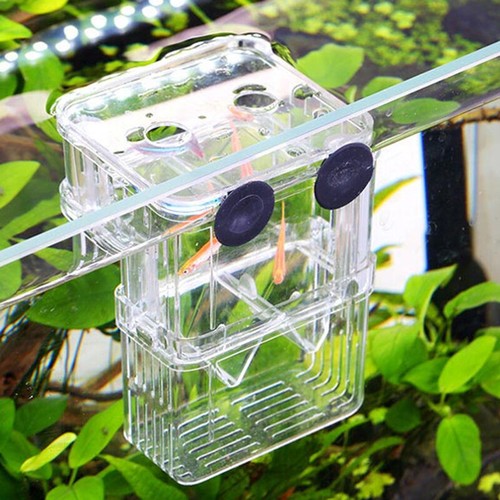 1x Fish Breeding Box Shrimp Hatchery Fish Tank Incubator UK Aquarium Tool UK - Picture 4 of 10