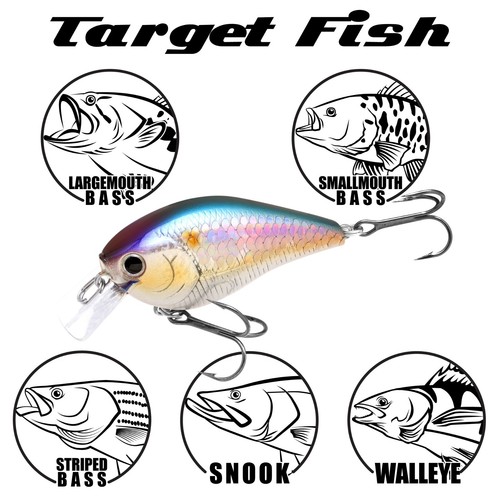 LUCKY CRAFT LC 1.5 - 180 Flake Flake Golden Sun Fish , Top Quality Crank Bait . - Picture 5 of 6