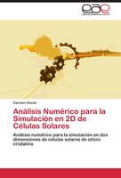 Carmen Ikaran | AnáLisis NuméRico Para La SimulacióN En 2D De CéLulas Solares