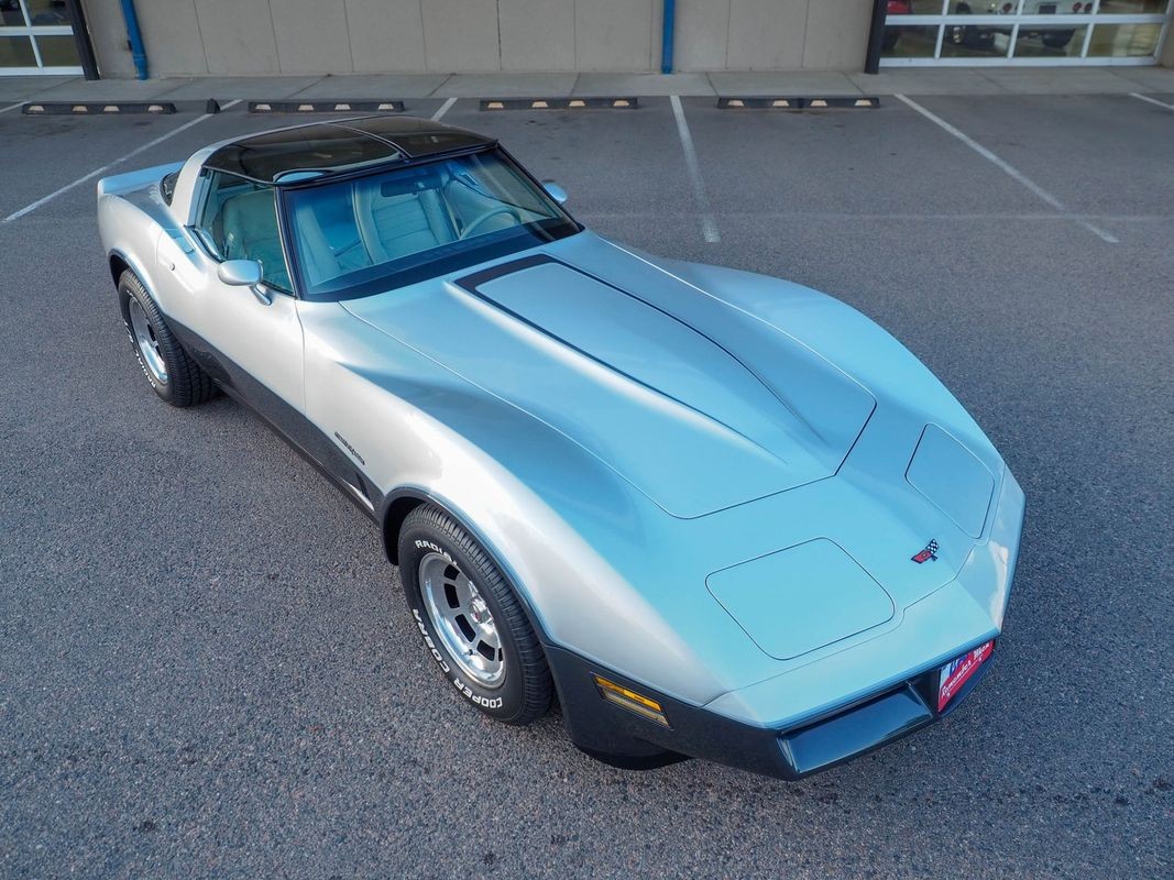 1982 Silver Chevrolet Corvette   | C3 Corvette Photo 10
