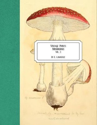 Vintage Prints: Mushrooms: Vol. 3 by E. Lawrence (English) Paperback Book