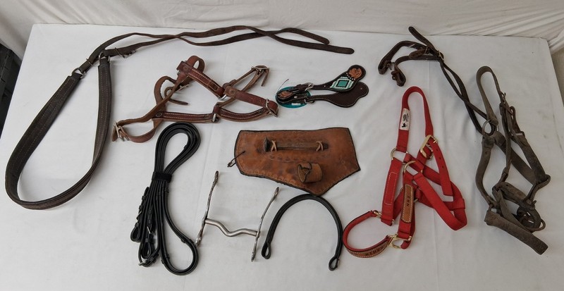 Lot of Black Brown Red Leather Equestrian Horse Tack and Equipment