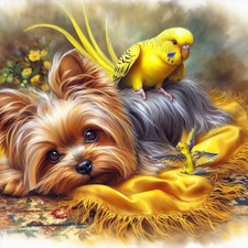 Diamond Painting Kits for Adults, 5D Dog Full Drill Diamond Art Kits for Begi...