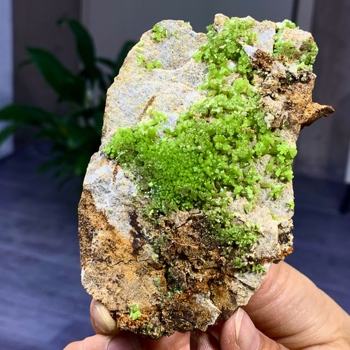 130 g natürliches seltenes Pyromorphit Mineral Exemplar aus DaopingYangshuoGuangxi China - Bild 5 von 23