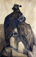 11804.Decor Poster.Room home Wall design art.Theo van Hoytema painting.Vultures
