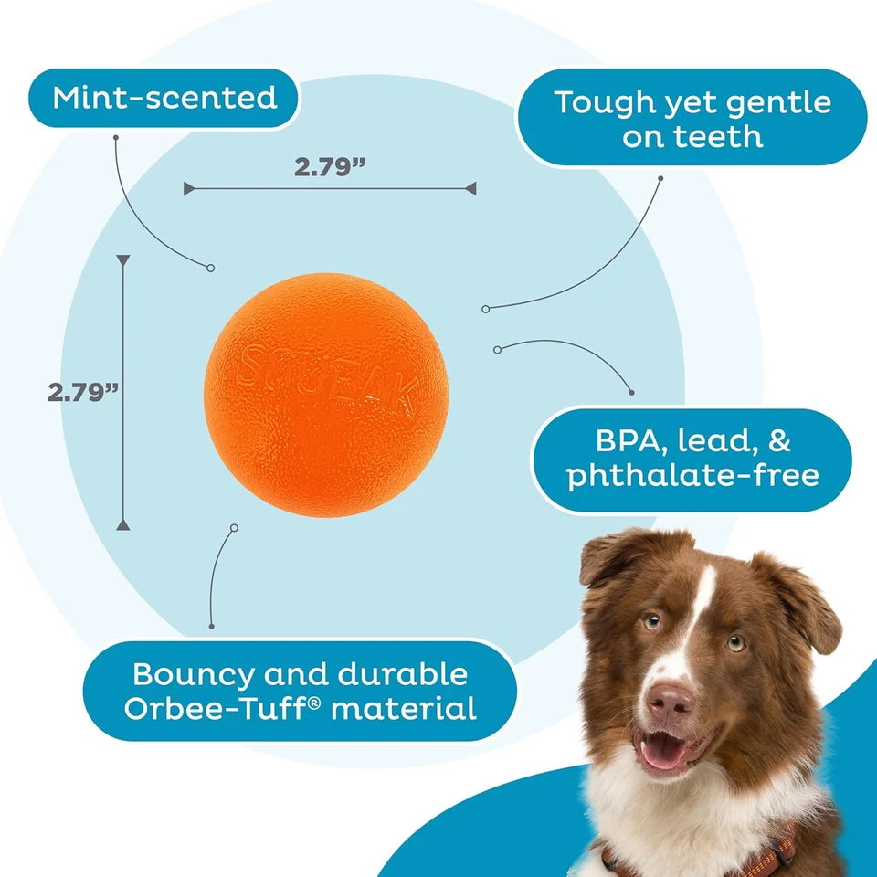 Planet Dog Orbee-Tuff Squeak, Nearly Indestructible Dog Ball Fetch-Chew Toy for - image 4 of 4