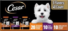 Filets in Gravy Wet Dog Food Rotisserie Chicken Flavor, Filet Mignon 1.76 40 Cou
