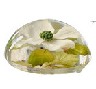 5 Vintage Lucite Paperweights and Decorative Items w. Rolfe signed & others — photo 3