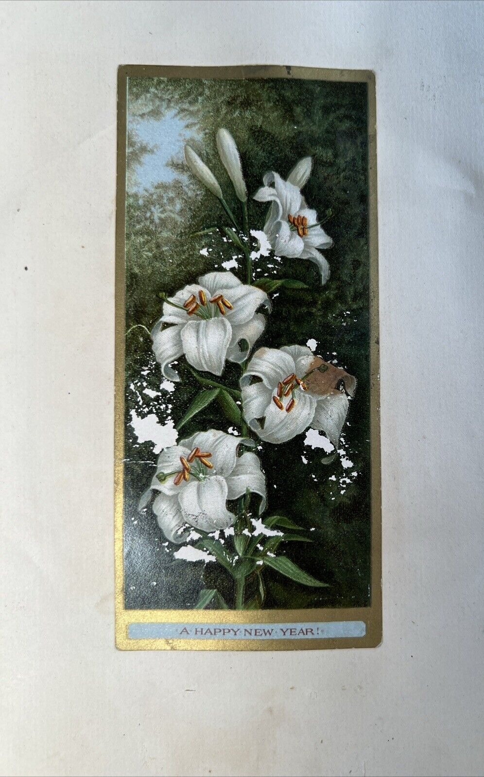 Foto 4 di 24