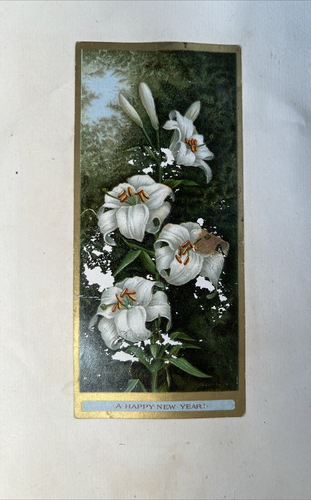 Philadelphian Victorian Ephemera Collection GA Schwartz e altre carte pubblicitarie - Foto 4 di 24