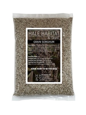 Grain Sorghum Food Plot Seed | Late Season Whitetail Deer Upland Bird Cover Feed