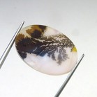 Foto 5 di 5