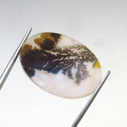 Natural Scenic Gemstone Dendrite Agate Shazar Oval Shape Cabochon 24x17 mm SA-48 - Picture 5 of 5