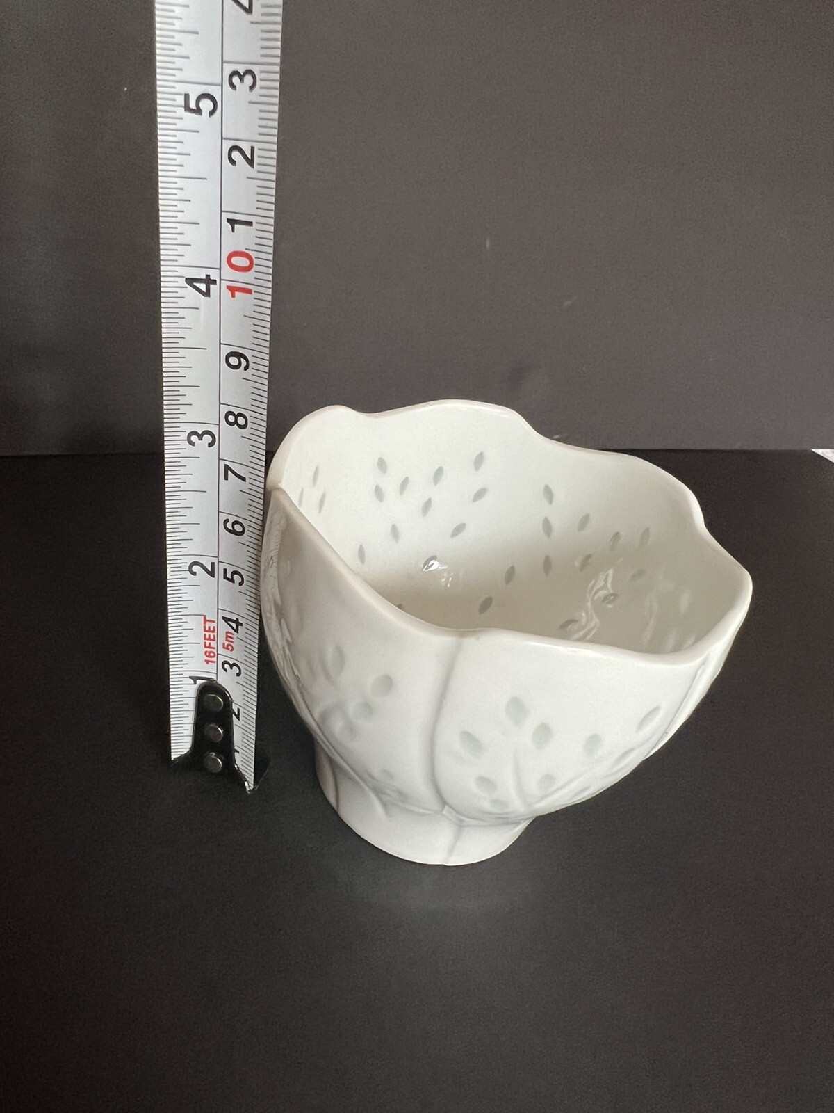 Picture 5 of 5