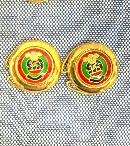 Italy Heraldic Crest Blazer Button Covers Set Prince of Wales Feathers Enam VTG