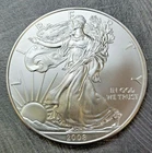 2008 American Silver Eagle BU 1 Oz Coin US $1 Dollar PCGS Brilliant Uncirculated