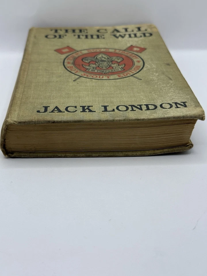 Vintage 1913 The Call Of The Wild By Jack London - Every Boy’s Library Foto 4 de 4